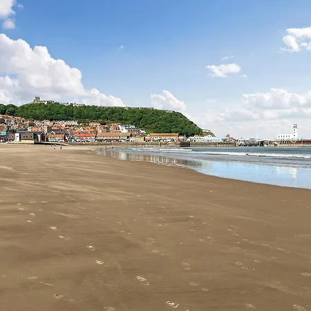 Denelea - Uk49954 Scarborough