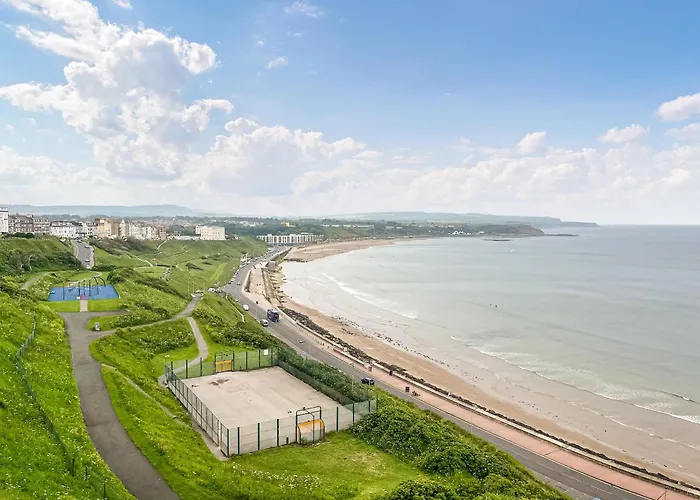 Denelea - Uk49954 * 스카버러